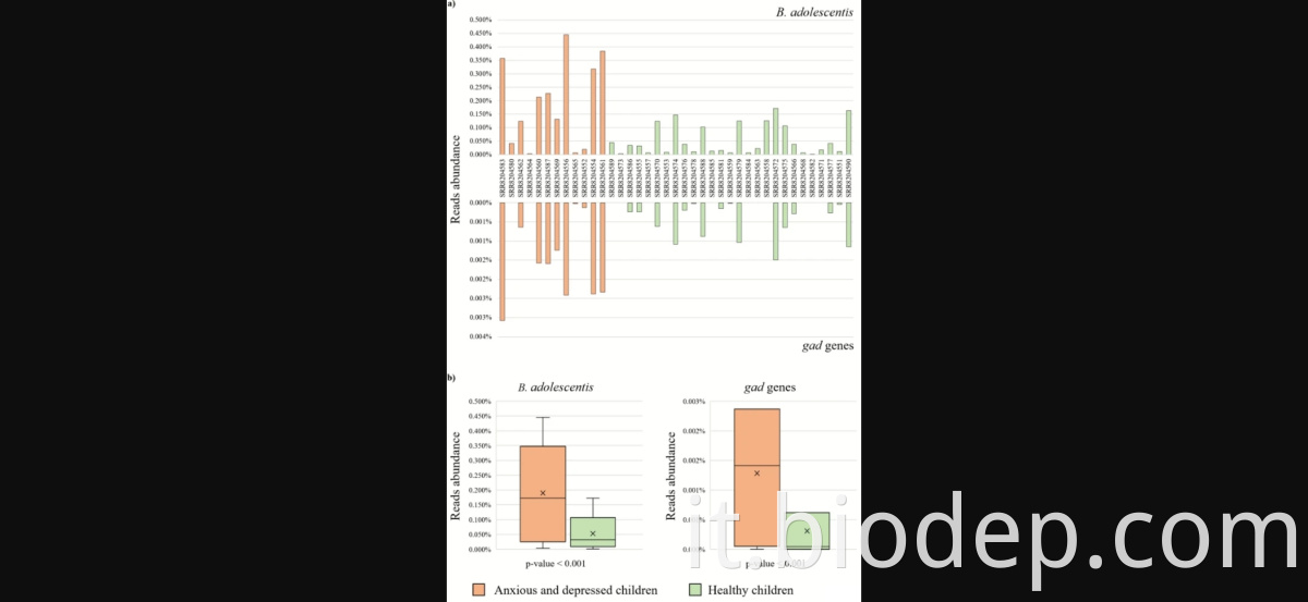 bifidobacterium adolesentis1